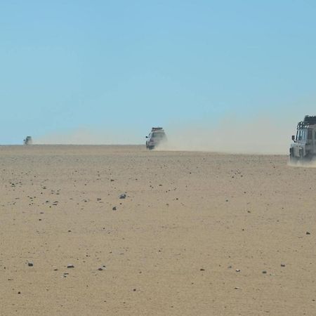 Siwa Paradise Siwa Oasis Екстериор снимка