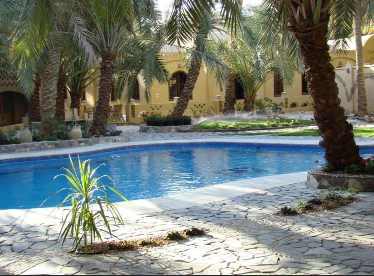 Siwa Paradise Siwa Oasis Екстериор снимка