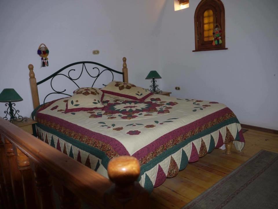 Siwa Paradise Siwa Oasis Екстериор снимка