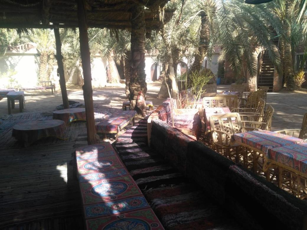 Siwa Paradise Siwa Oasis Екстериор снимка