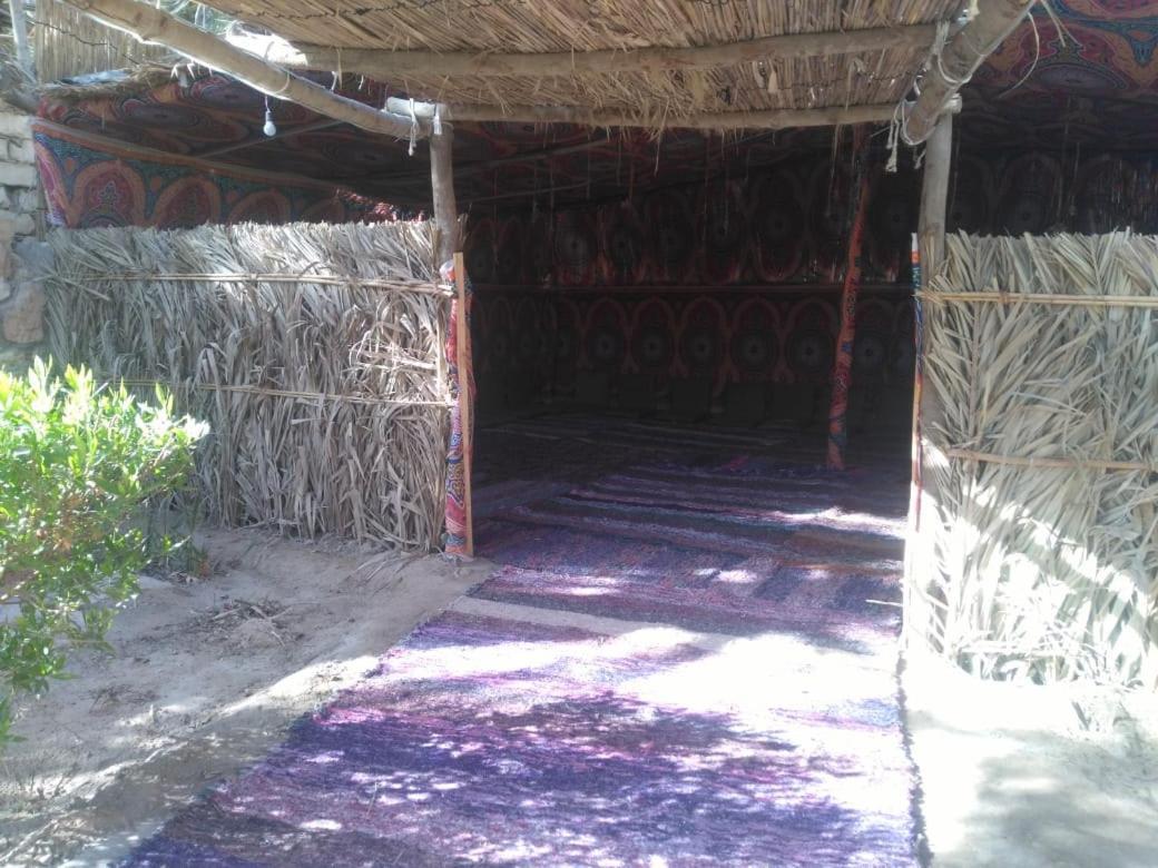 Siwa Paradise Siwa Oasis Екстериор снимка
