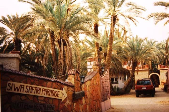Siwa Paradise Siwa Oasis Екстериор снимка
