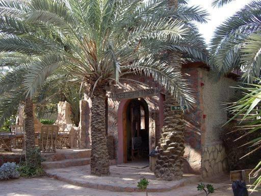 Siwa Paradise Siwa Oasis Екстериор снимка