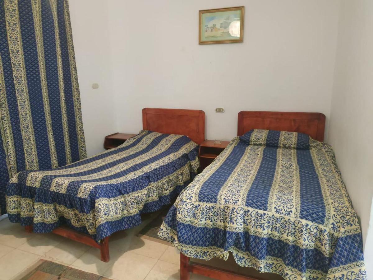 Siwa Paradise Siwa Oasis Екстериор снимка