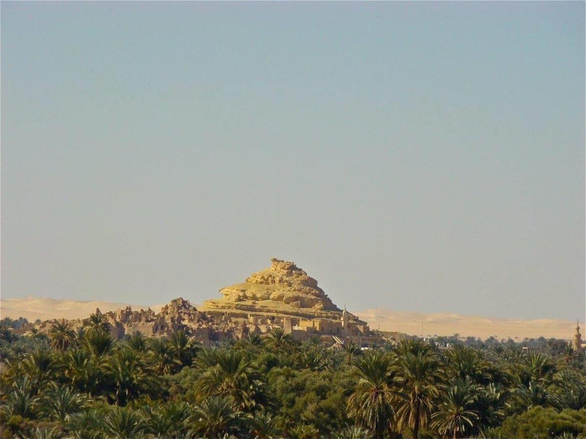 Siwa Paradise Siwa Oasis Екстериор снимка