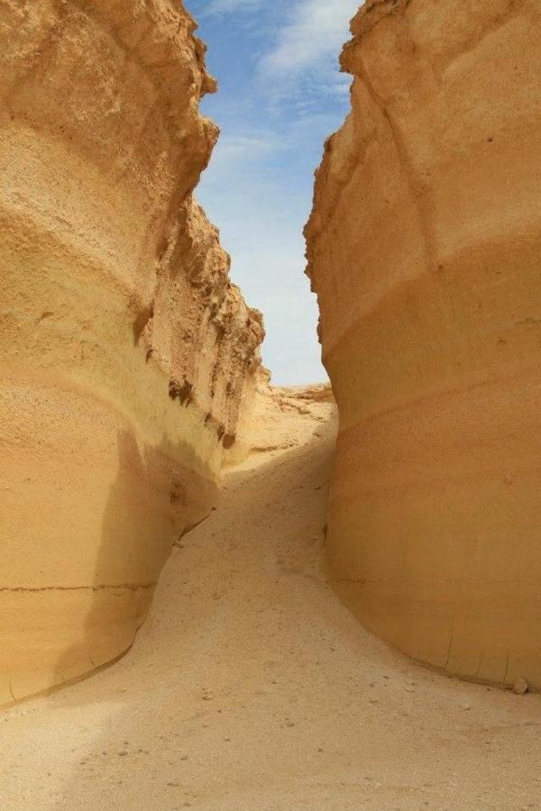 Siwa Paradise Siwa Oasis Екстериор снимка