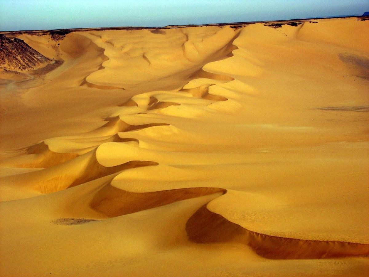 Siwa Paradise Siwa Oasis Екстериор снимка