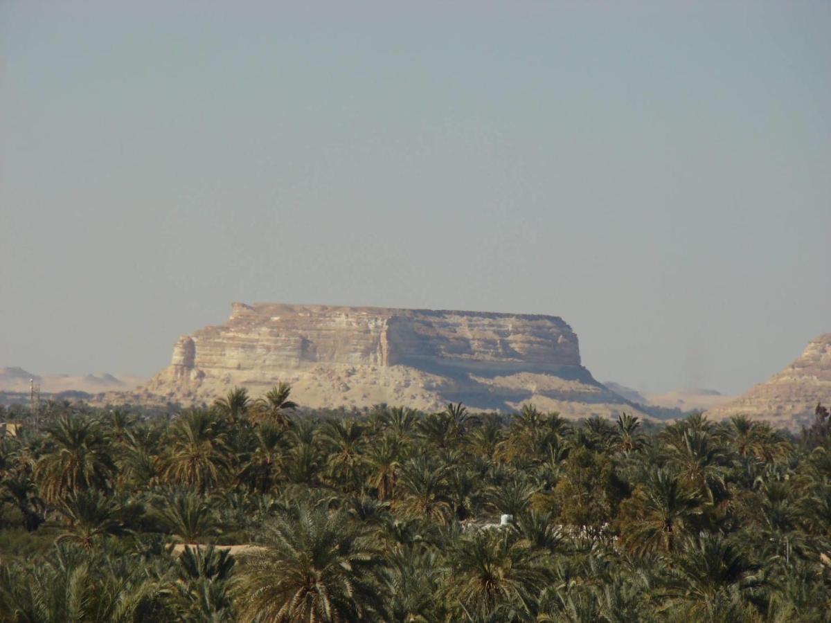 Siwa Paradise Siwa Oasis Екстериор снимка